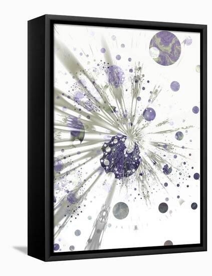 Omega-Fractalicious-Framed Premier Image Canvas