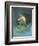 Omermaid-Wayne Anderson-Framed Giclee Print