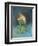 Omermaid-Wayne Anderson-Framed Giclee Print