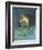 Omermaid-Wayne Anderson-Framed Giclee Print