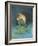 Omermaid-Wayne Anderson-Framed Giclee Print