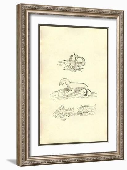 Omnium Animalum-Ulisse Aldrovandi-Framed Art Print