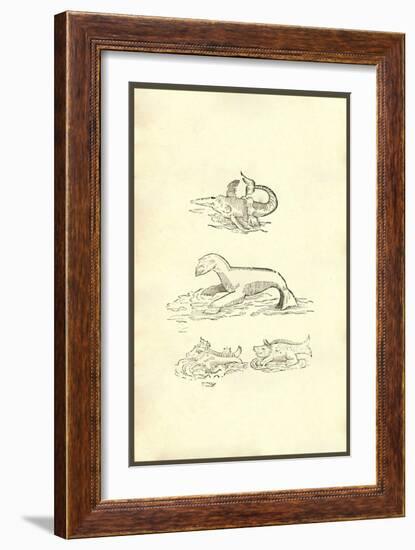 Omnium Animalum-Ulisse Aldrovandi-Framed Art Print