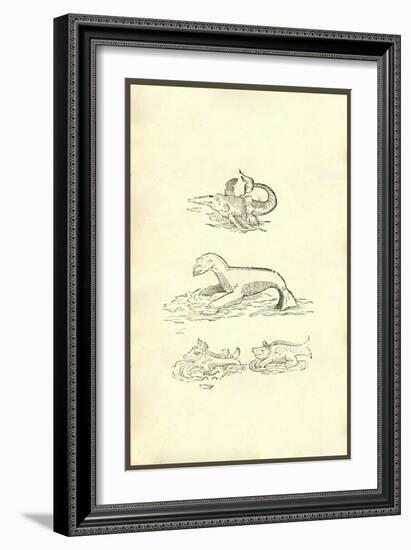 Omnium Animalum-Ulisse Aldrovandi-Framed Art Print