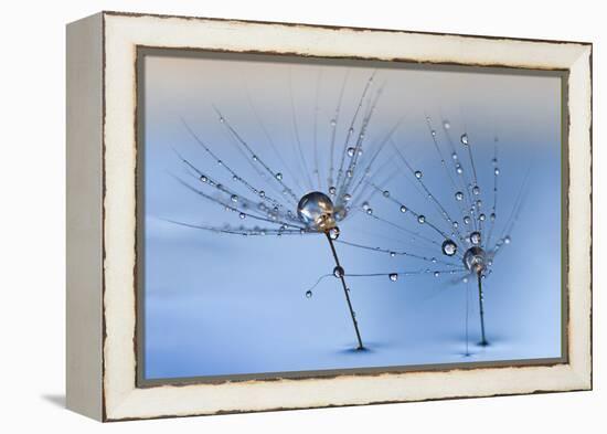 On a Clear Rainy Day-Heidi Westum-Framed Premier Image Canvas