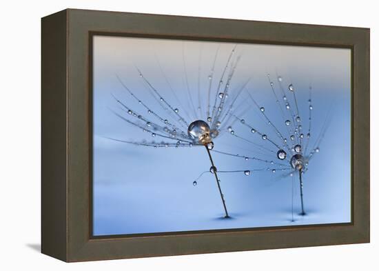 On a Clear Rainy Day-Heidi Westum-Framed Premier Image Canvas