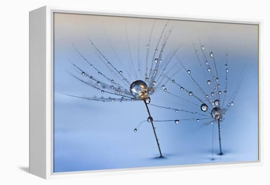 On a Clear Rainy Day-Heidi Westum-Framed Premier Image Canvas