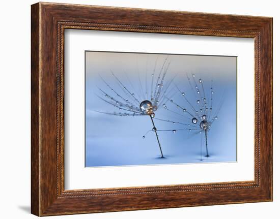 On a Clear Rainy Day-Heidi Westum-Framed Photographic Print