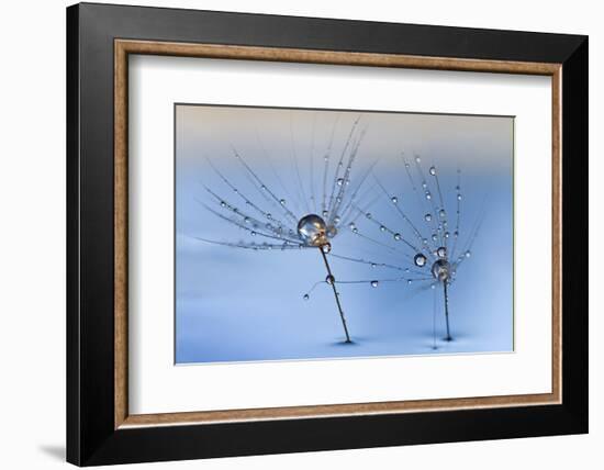 On a Clear Rainy Day-Heidi Westum-Framed Photographic Print