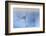 On a Clear Rainy Day-Heidi Westum-Framed Photographic Print