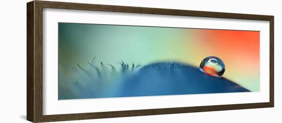 On a feather-Heidi Westum-Framed Photographic Print