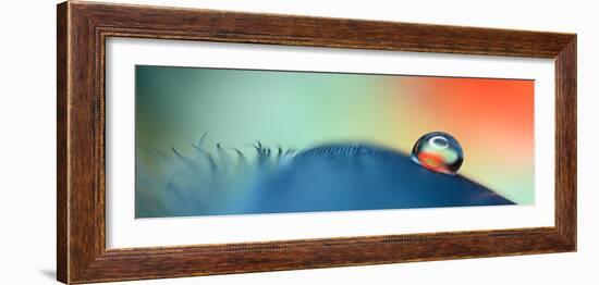 On a feather-Heidi Westum-Framed Photographic Print