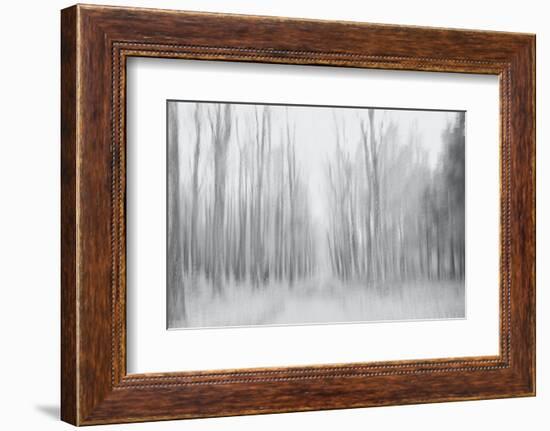 On a Gray Winter Day-Jacob Berghoef-Framed Photographic Print