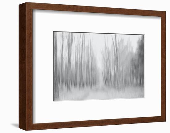 On a Gray Winter Day-Jacob Berghoef-Framed Photographic Print