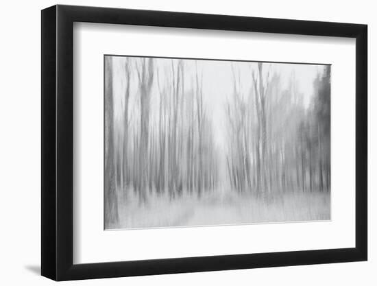 On a Gray Winter Day-Jacob Berghoef-Framed Photographic Print