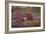 On a Log I-Kathy Mahan-Framed Photographic Print