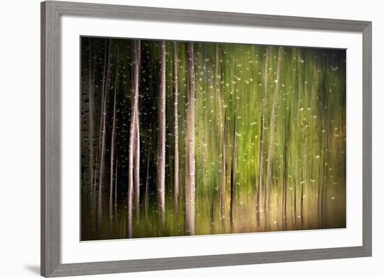 On a Rainy Day-Ursula Abresch-Framed Photographic Print