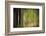 On a Rainy Day-Ursula Abresch-Framed Photographic Print