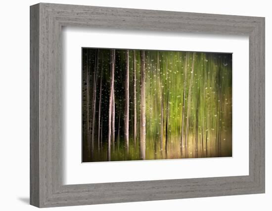 On a Rainy Day-Ursula Abresch-Framed Photographic Print