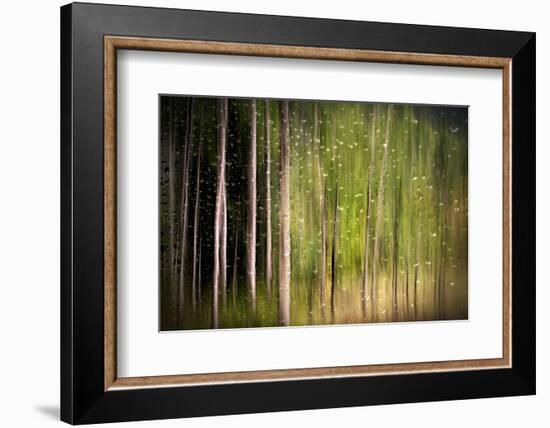 On a Rainy Day-Ursula Abresch-Framed Photographic Print