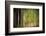 On a Rainy Day-Ursula Abresch-Framed Photographic Print