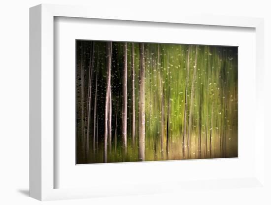 On a Rainy Day-Ursula Abresch-Framed Photographic Print