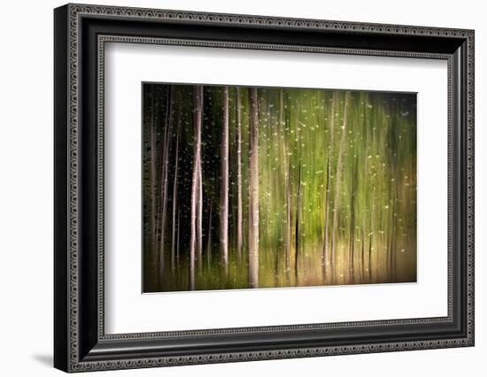 On a Rainy Day-Ursula Abresch-Framed Photographic Print