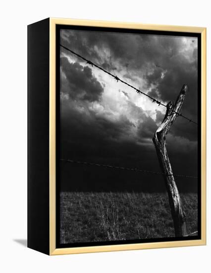 On a Small Farm, Ominous Clouds Overhead, Outlined by Barbed Wire Fencing-Nat Farbman-Framed Premier Image Canvas