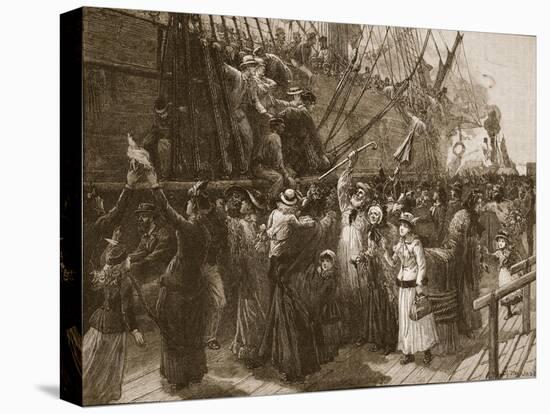 Stretched Canvas Print, , large