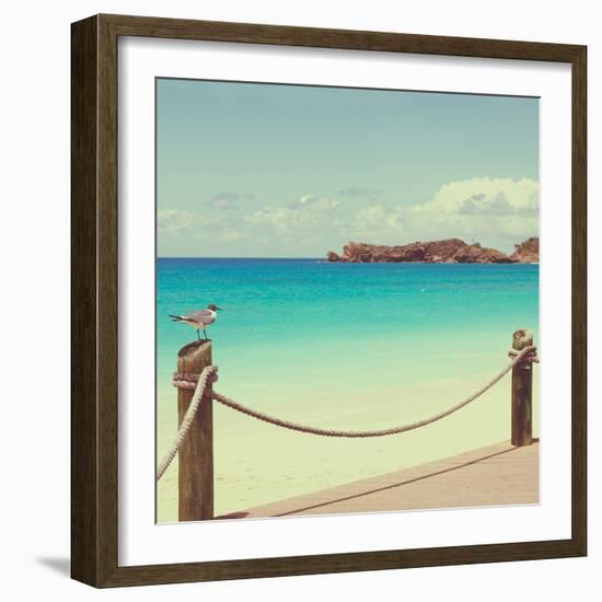 On Deck II-Susan Bryant-Framed Photographic Print