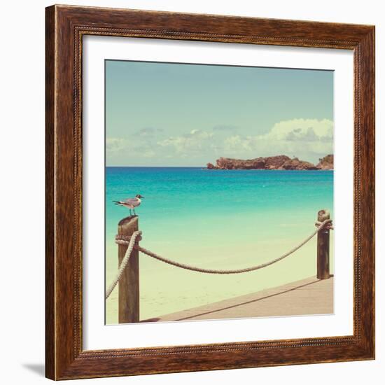 On Deck II-Susan Bryant-Framed Photographic Print