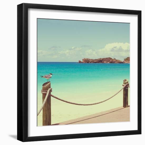 On Deck II-Susan Bryant-Framed Photographic Print