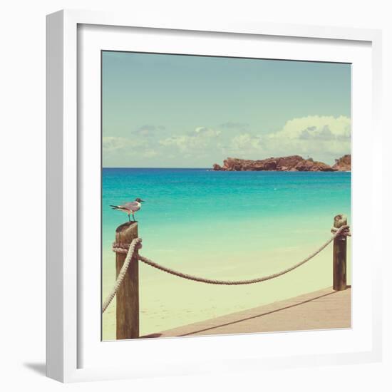 On Deck II-Susan Bryant-Framed Photographic Print