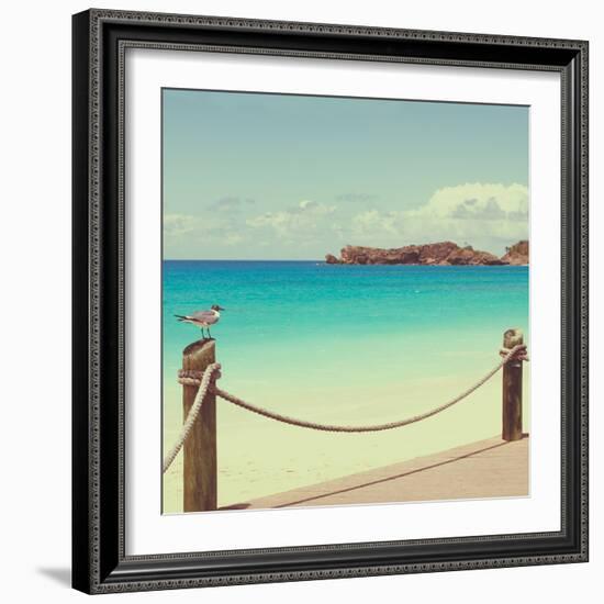 On Deck II-Susan Bryant-Framed Photographic Print