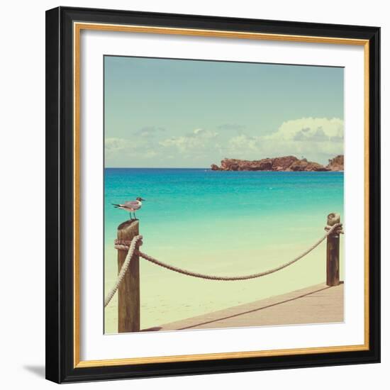 On Deck II-Susan Bryant-Framed Photographic Print