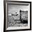 On Dry Land-Craig Roberts-Framed Photographic Print