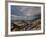 On Earth-Irene Suchocki-Framed Photographic Print