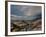 On Earth-Irene Suchocki-Framed Photographic Print