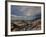 On Earth-Irene Suchocki-Framed Photographic Print