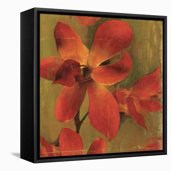 On Fire I-Andrew Michaels-Framed Stretched Canvas