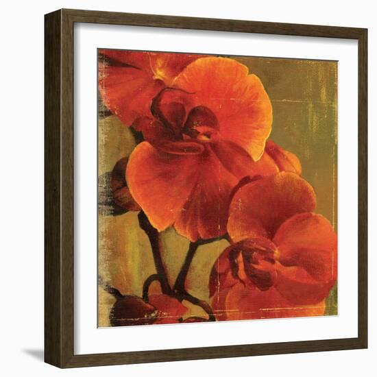 On Fire II-Andrew Michaels-Framed Premium Giclee Print