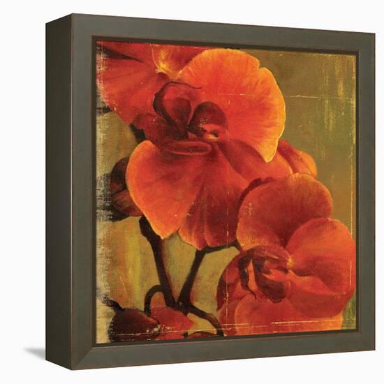 On Fire II-Andrew Michaels-Framed Stretched Canvas