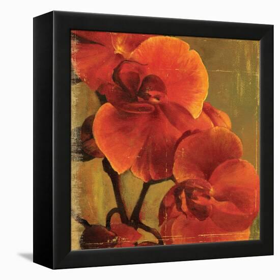 On Fire II-Andrew Michaels-Framed Stretched Canvas