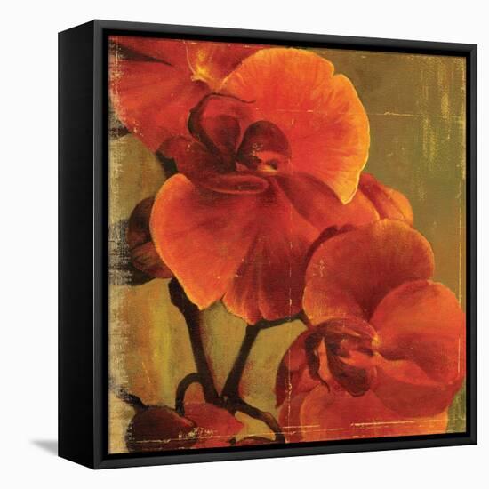 On Fire II-Andrew Michaels-Framed Stretched Canvas