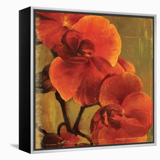 On Fire II-Andrew Michaels-Framed Stretched Canvas