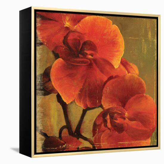 On Fire II-Andrew Michaels-Framed Stretched Canvas