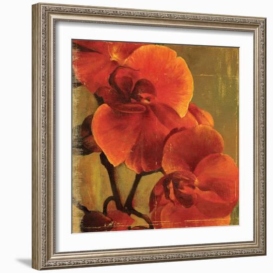 On Fire II-Andrew Michaels-Framed Art Print