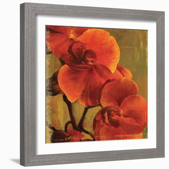 On Fire II-Andrew Michaels-Framed Art Print