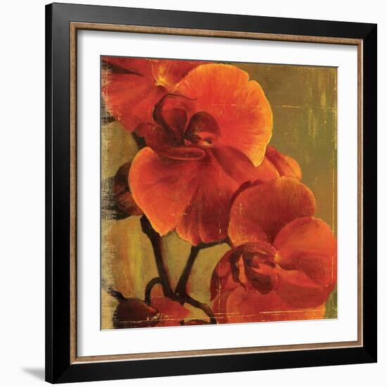 On Fire II-Andrew Michaels-Framed Art Print