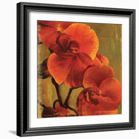 On Fire II-Andrew Michaels-Framed Art Print